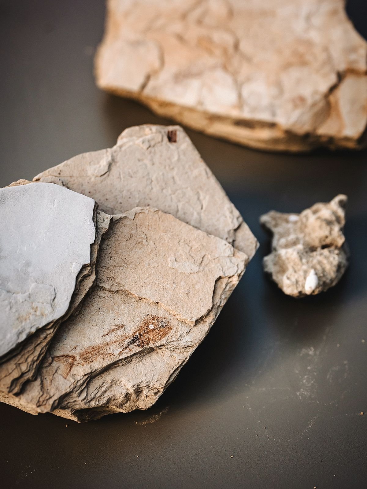 Visioni controvento: l’arte di restare liberi