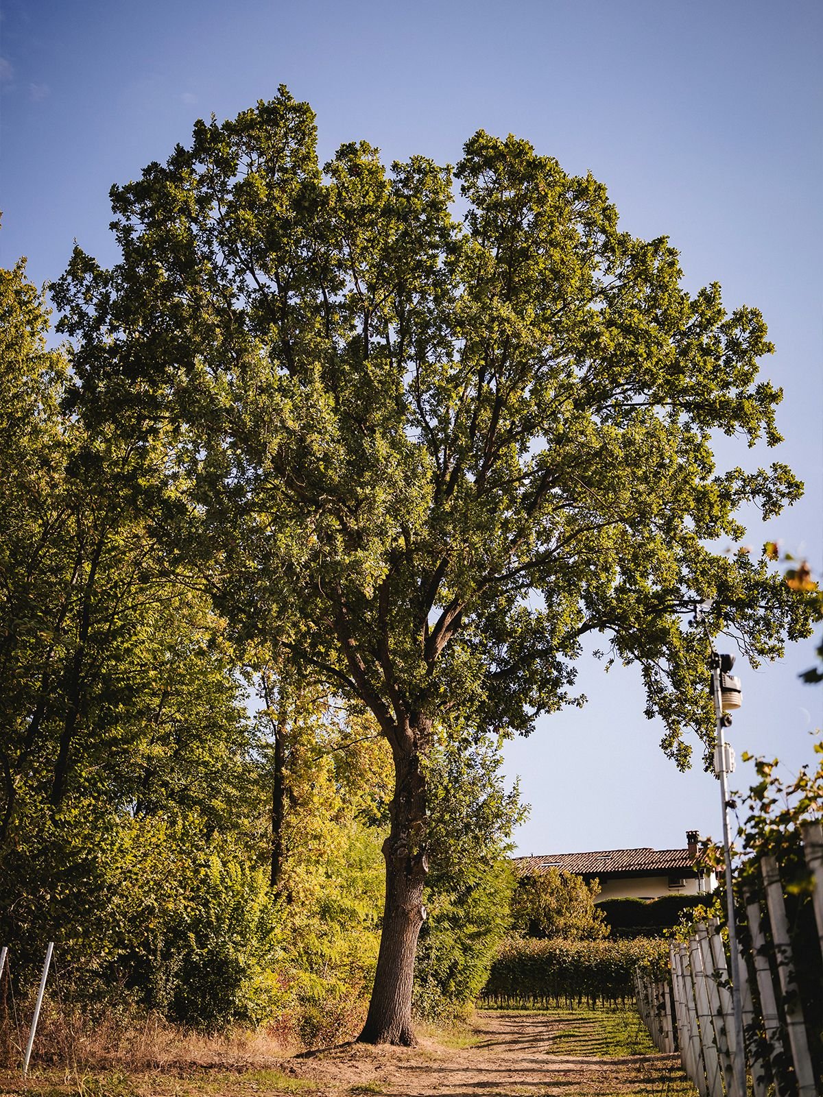 Piccoli gesti, impatto reale