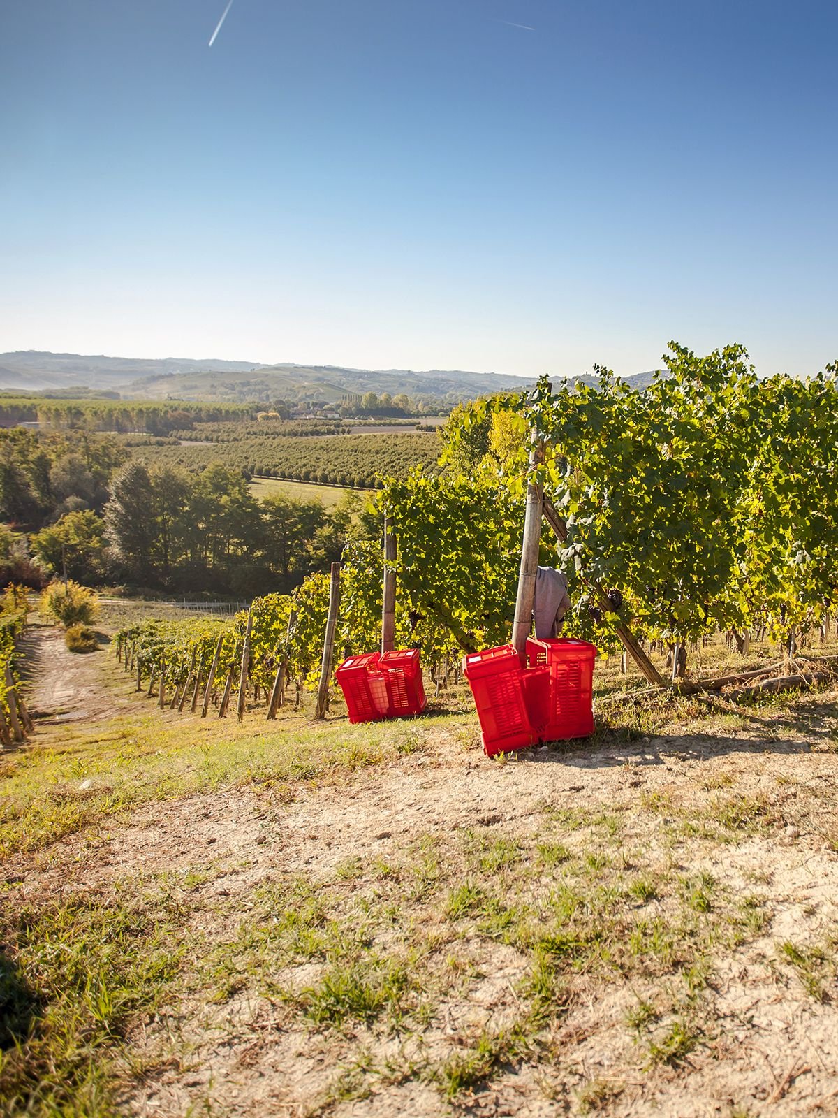 Quattro paesi, un unico paesaggio
