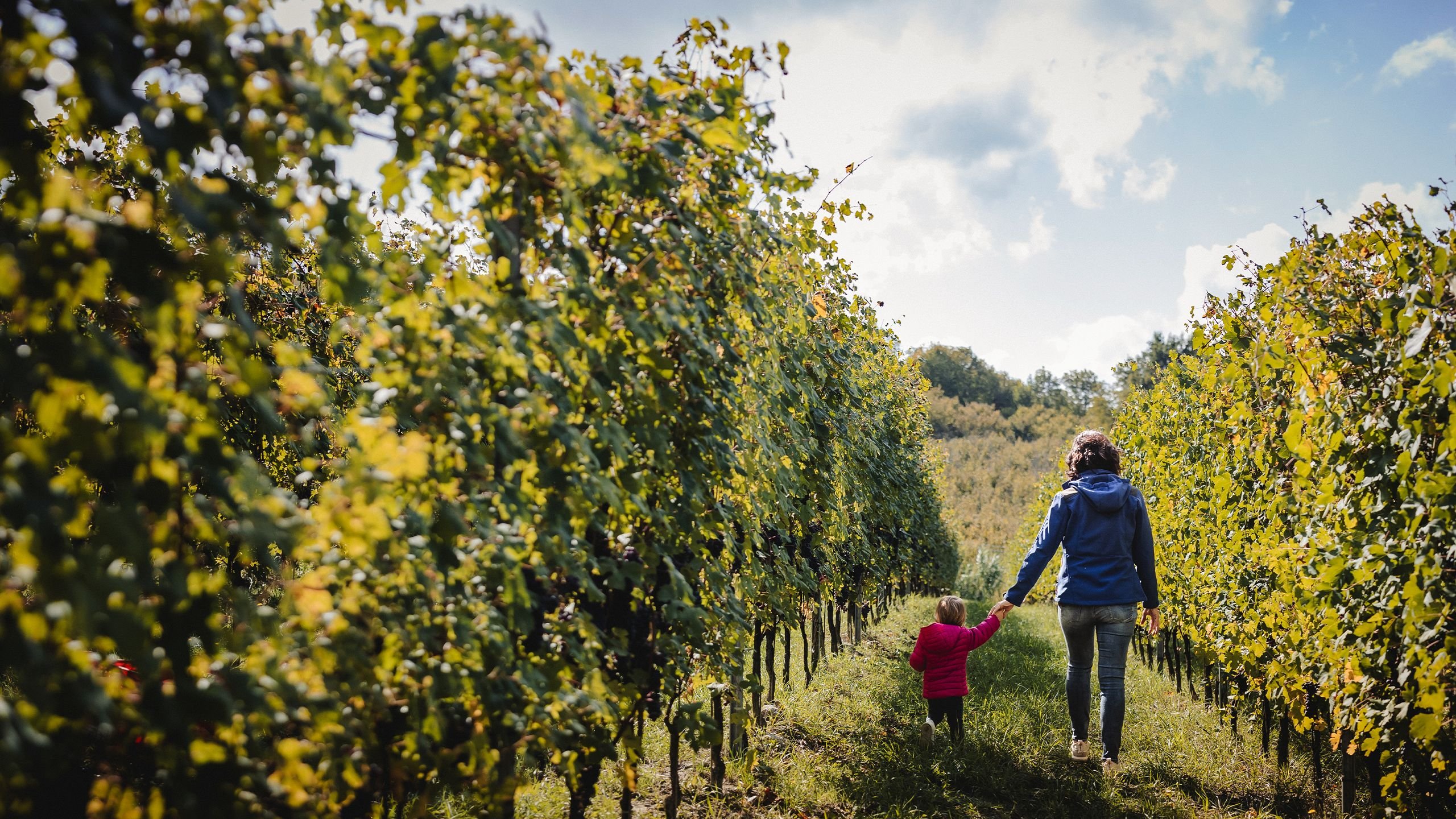 view : OM : Filosofia - Visual