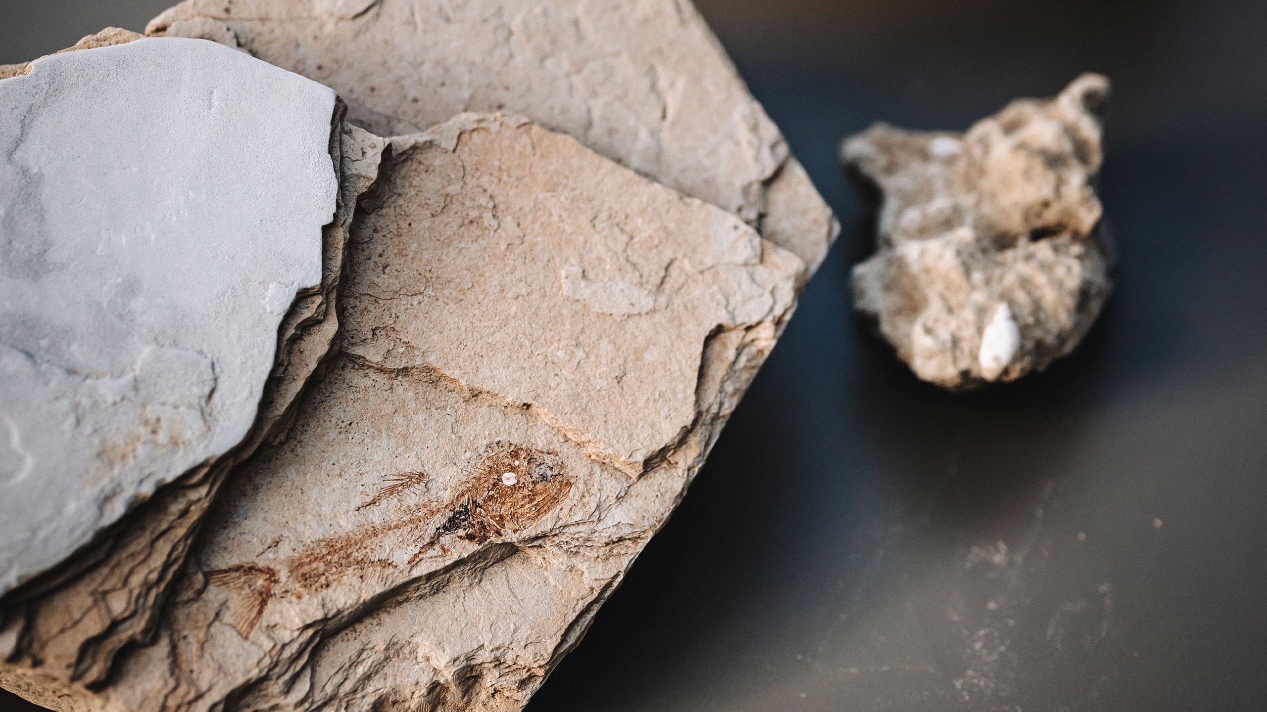 view : OM : Filosofia - Visual