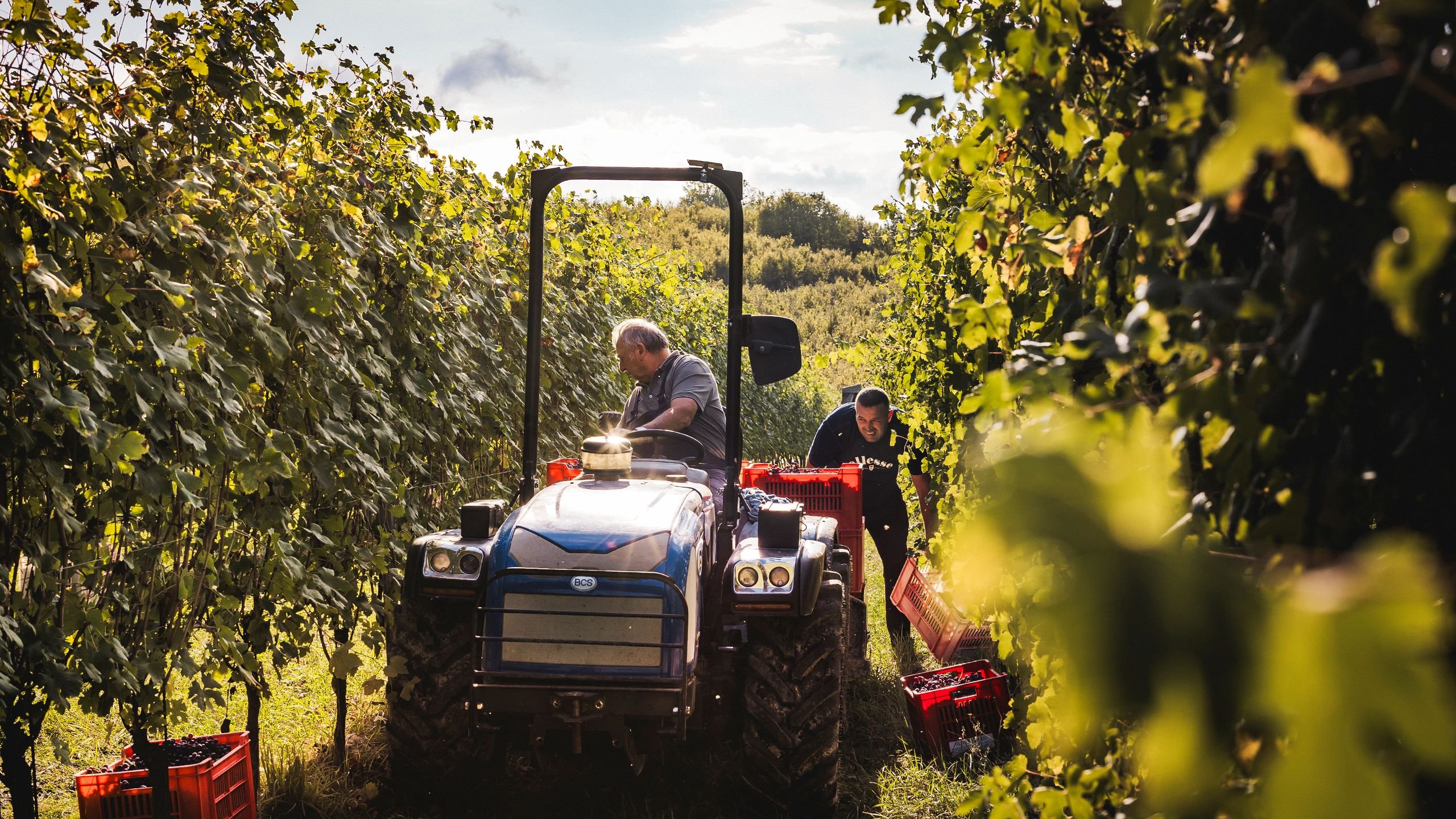 view : OM : Territory - Visual