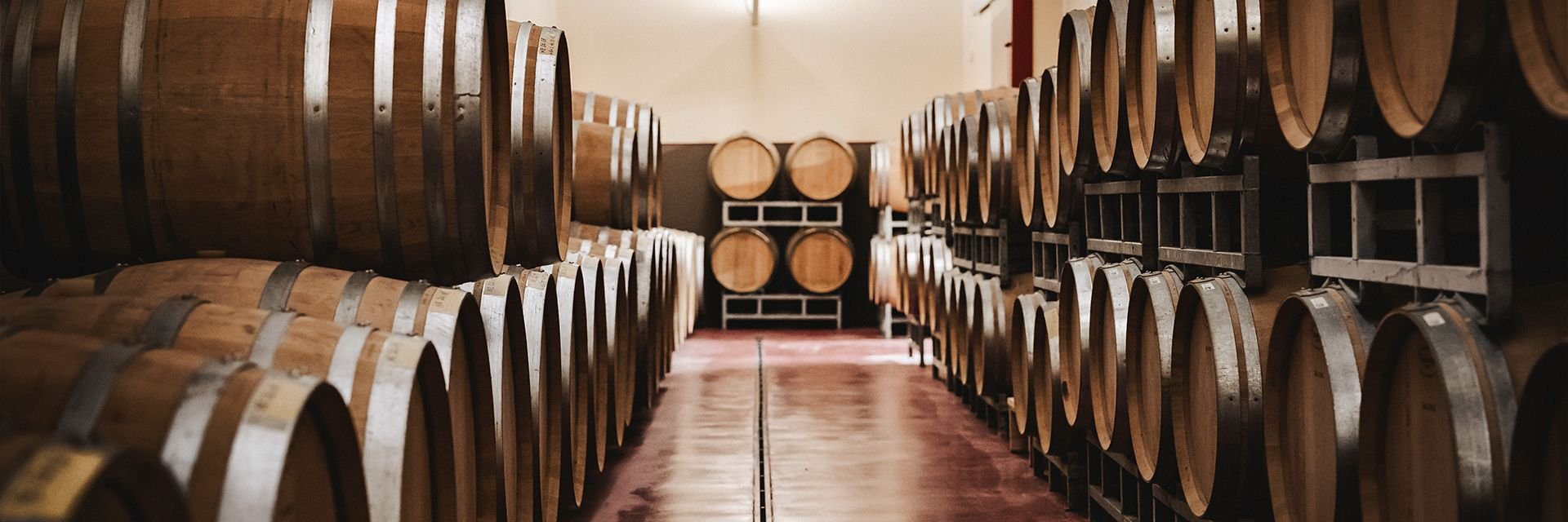 view : OM : Filosofia - Landing