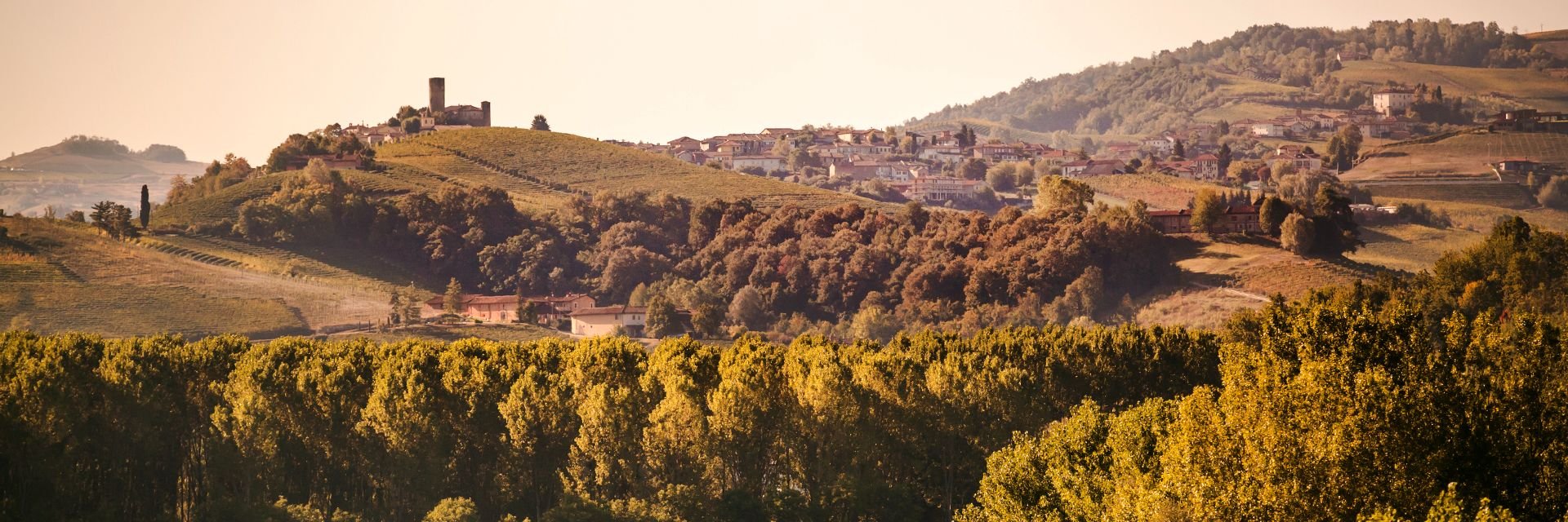 view : OM : Territorio - Landing