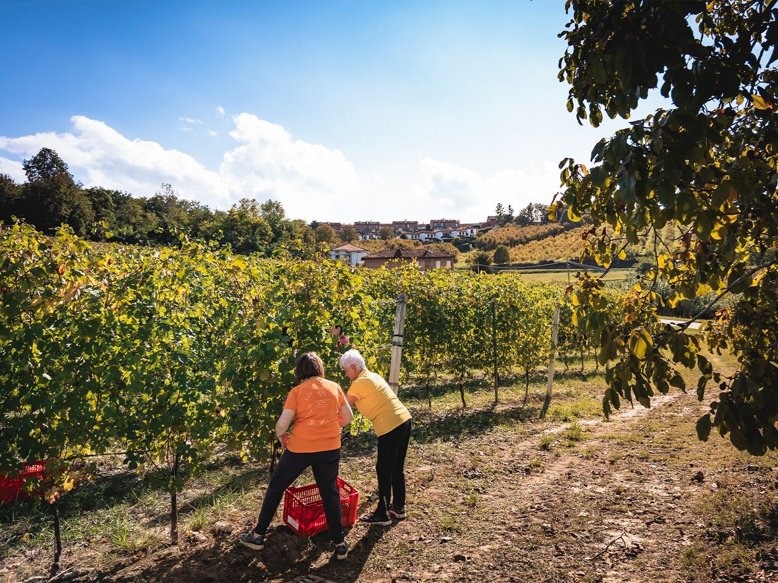 Landing - S04 - Territorio